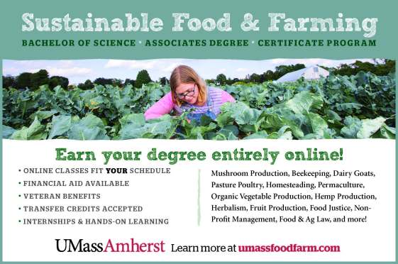 UMASShalfPageAD4 Final